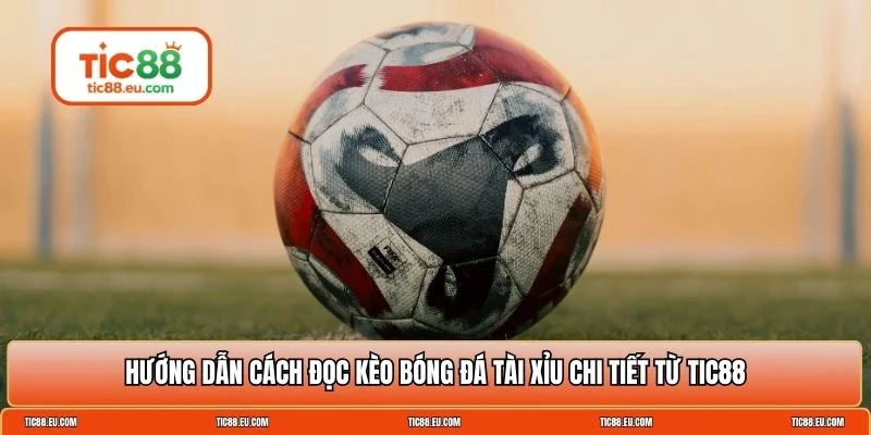 Cách đọc kèo bóng đá tài xỉu
