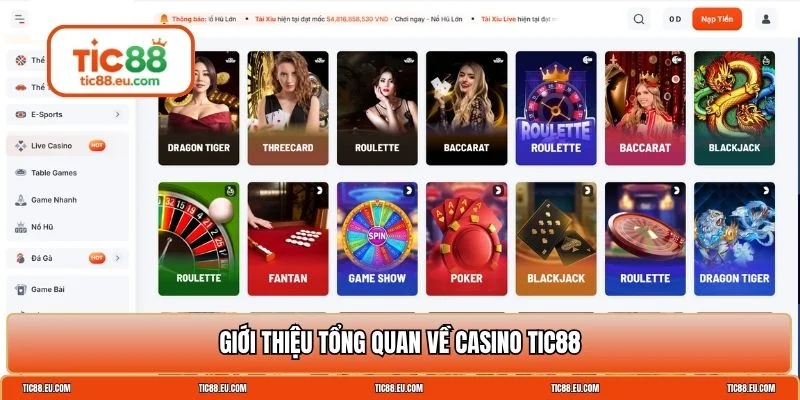 Casino TIC88