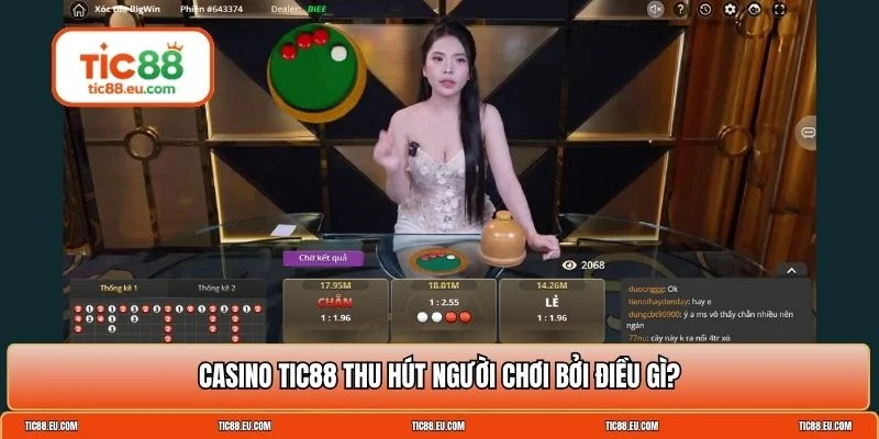 Casino TIC88