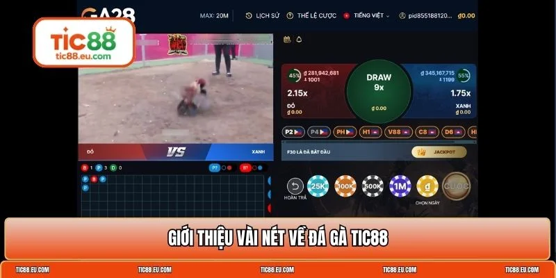 Đá gà TIC88