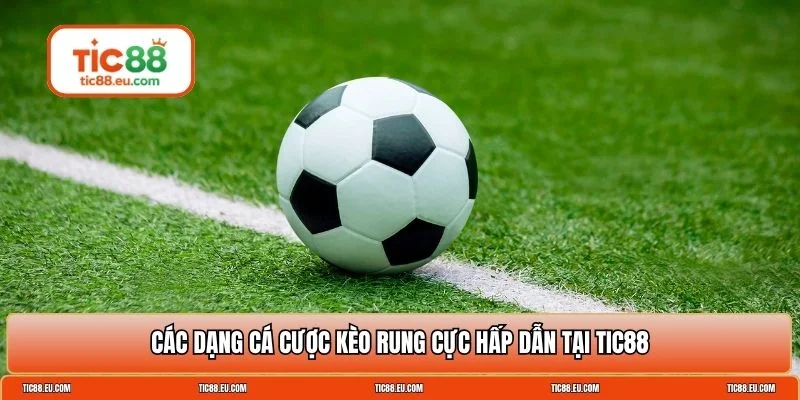 Kèo rung là gì