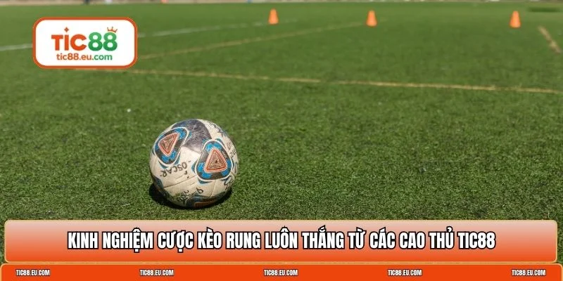 Kèo rung là gì