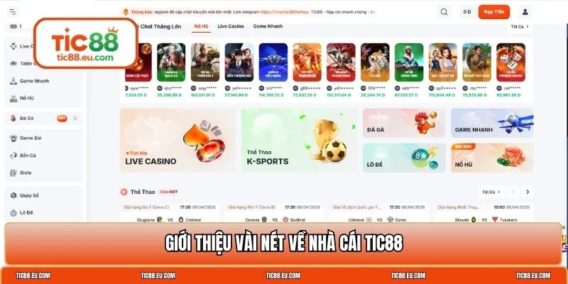 TIC88 lừa đảo