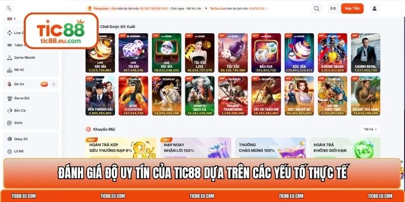 TIC88 lừa đảo